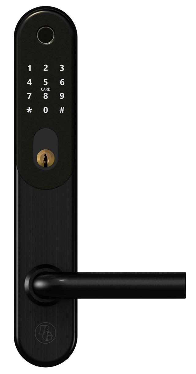 Smart Lock BG5000, black, t/oval cyl.