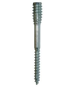 EXP Distance screw toproc 6x60 mm PK with 50 pcs.