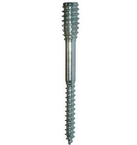 EXP Top-Distance screw 6x100 mm TX25 PK with 100 pcs.