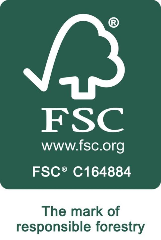 Festool Filterpåsar FIS-CT 22, 5 st.