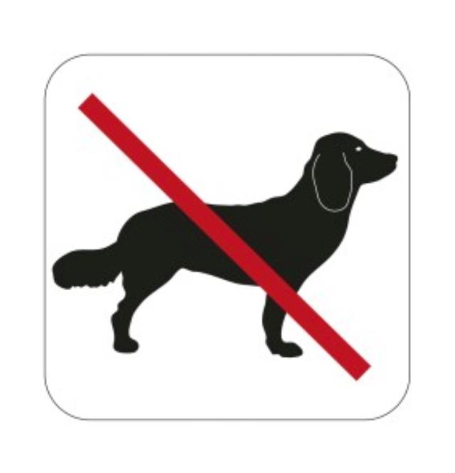 SYMBOL HUNDEVERBOT 80X80 MM 