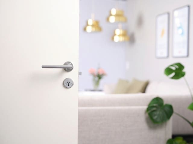 Türgriff Lyon Interieur Gebürstetes Aluminium 