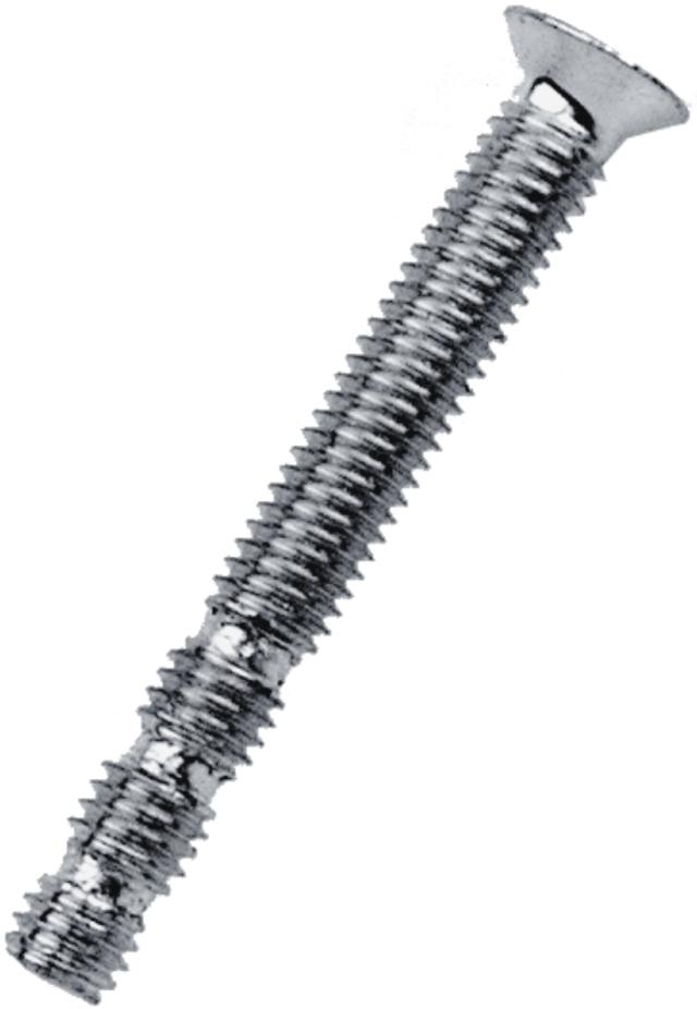 Ruko schroef 793170 5x40mm. kastslot/DIN-cilinder