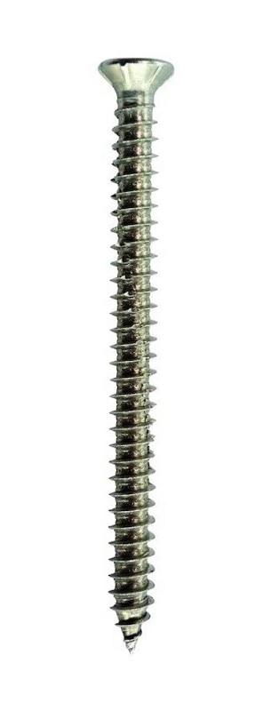 EXP concrete screw stainless A2 w/head